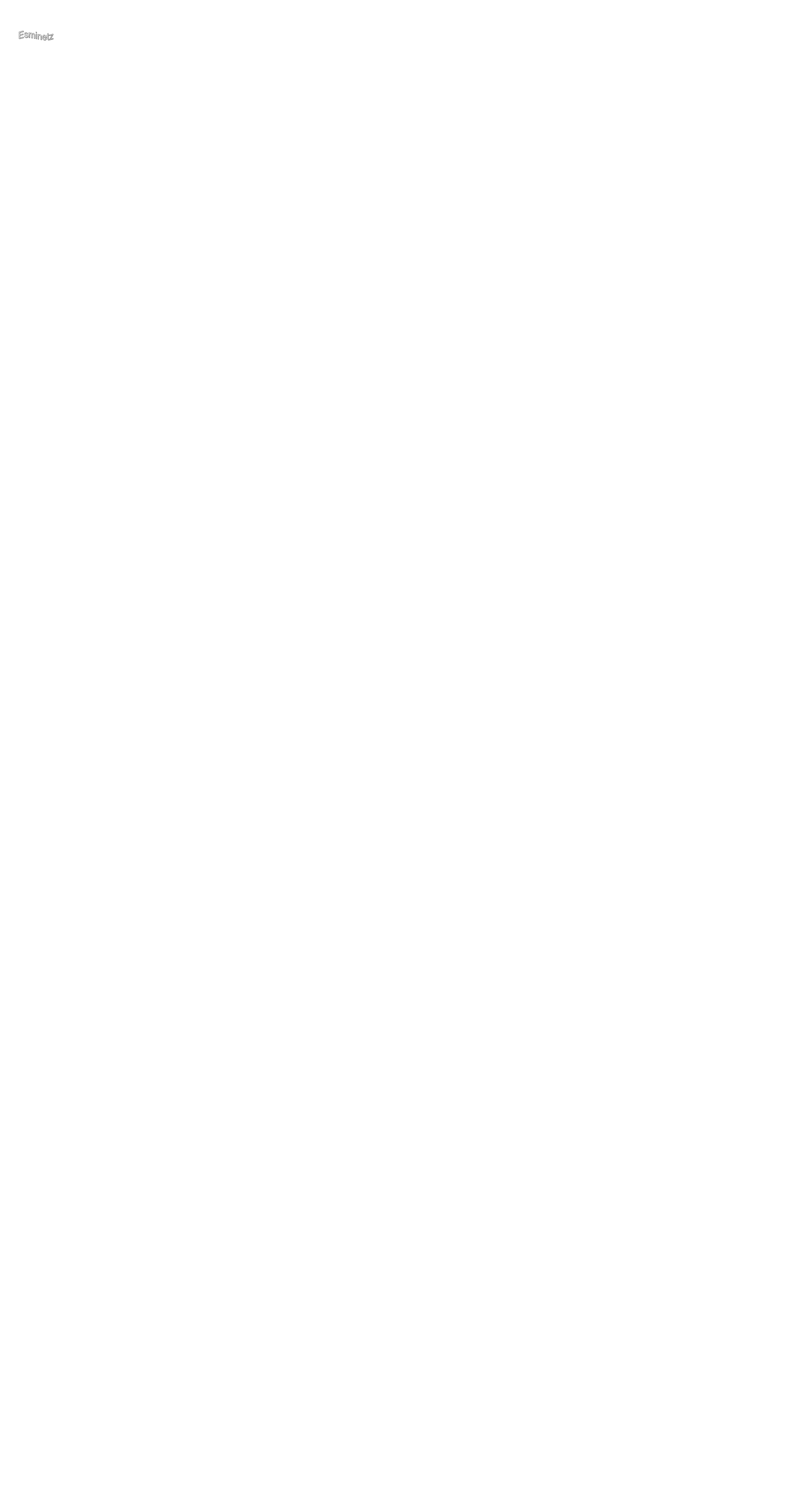 Esminetz